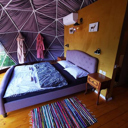 Hotel Glamping Zazen Drumu Carului Exteriér fotografie
