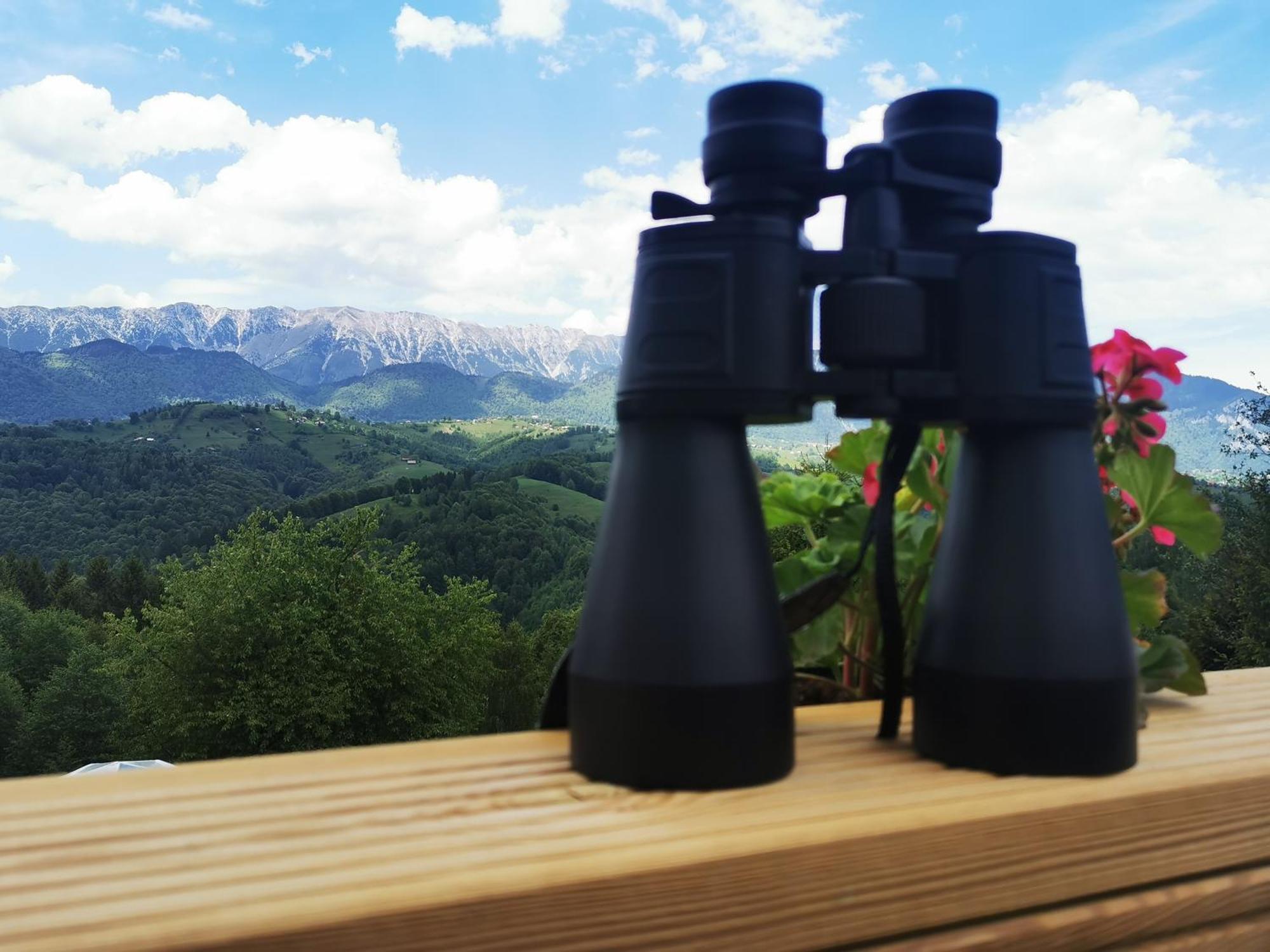 Hotel Glamping Zazen Drumu Carului Exteriér fotografie