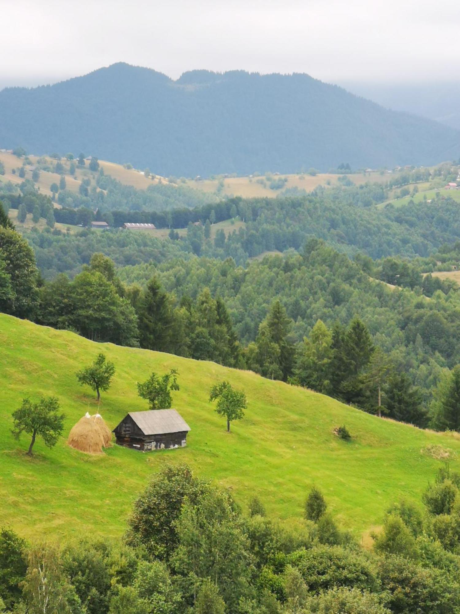 Hotel Glamping Zazen Drumu Carului Exteriér fotografie