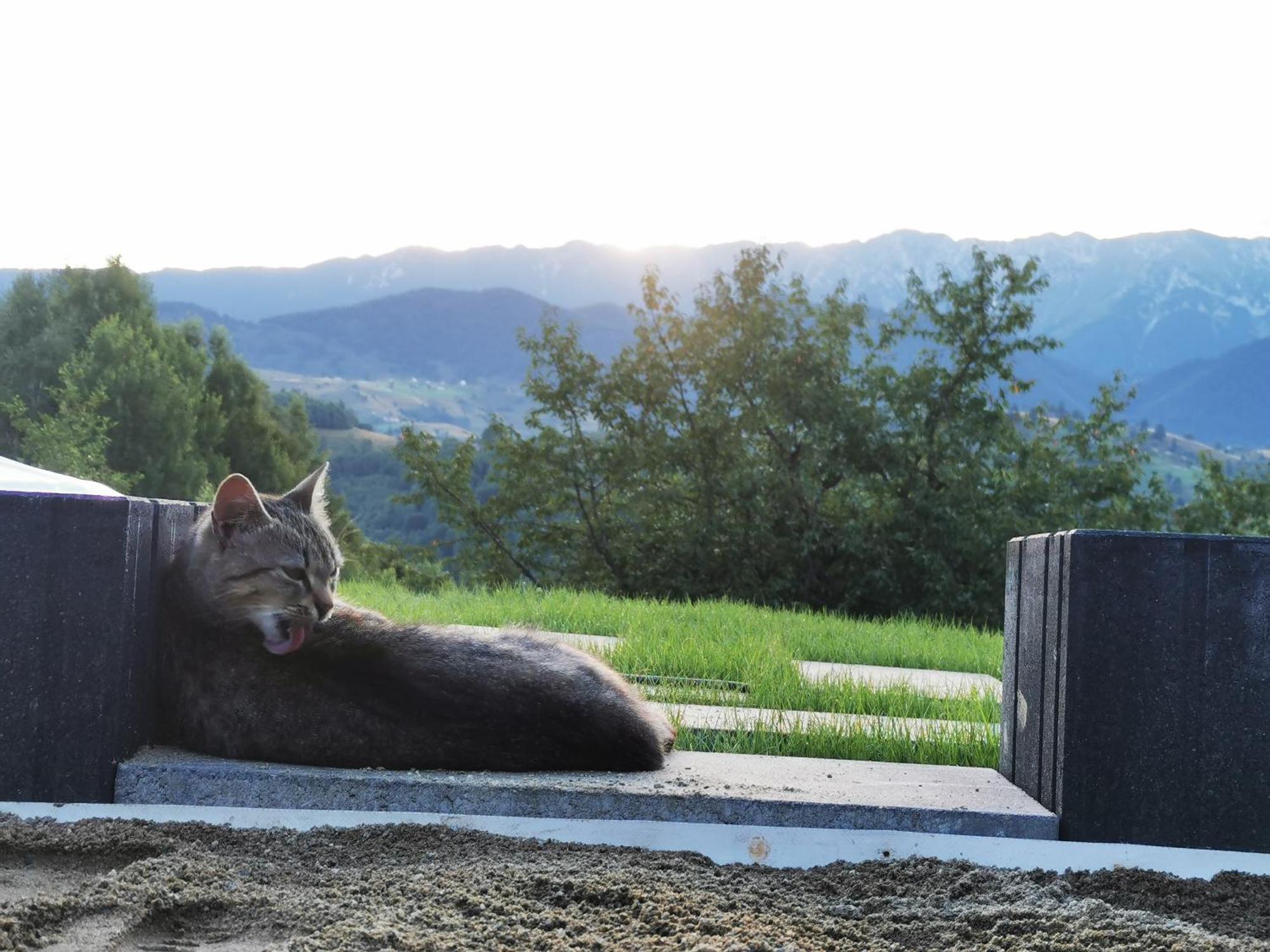 Hotel Glamping Zazen Drumu Carului Exteriér fotografie