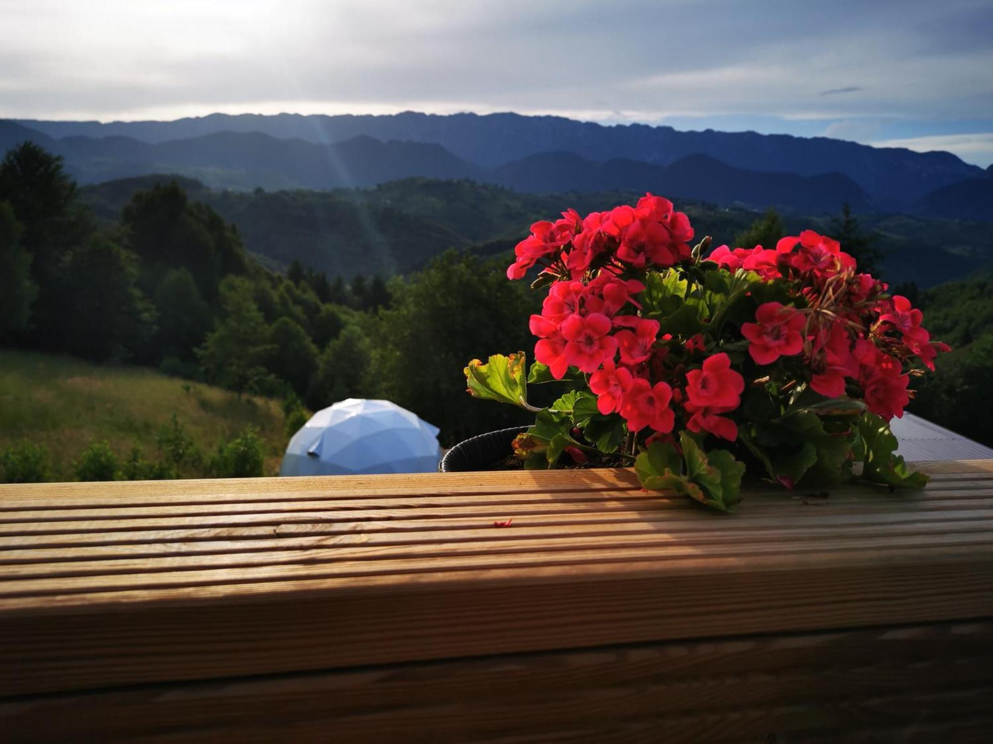 Hotel Glamping Zazen Drumu Carului Exteriér fotografie
